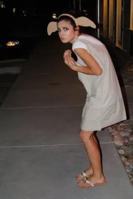 DOBBY (HARRY POTTER)
