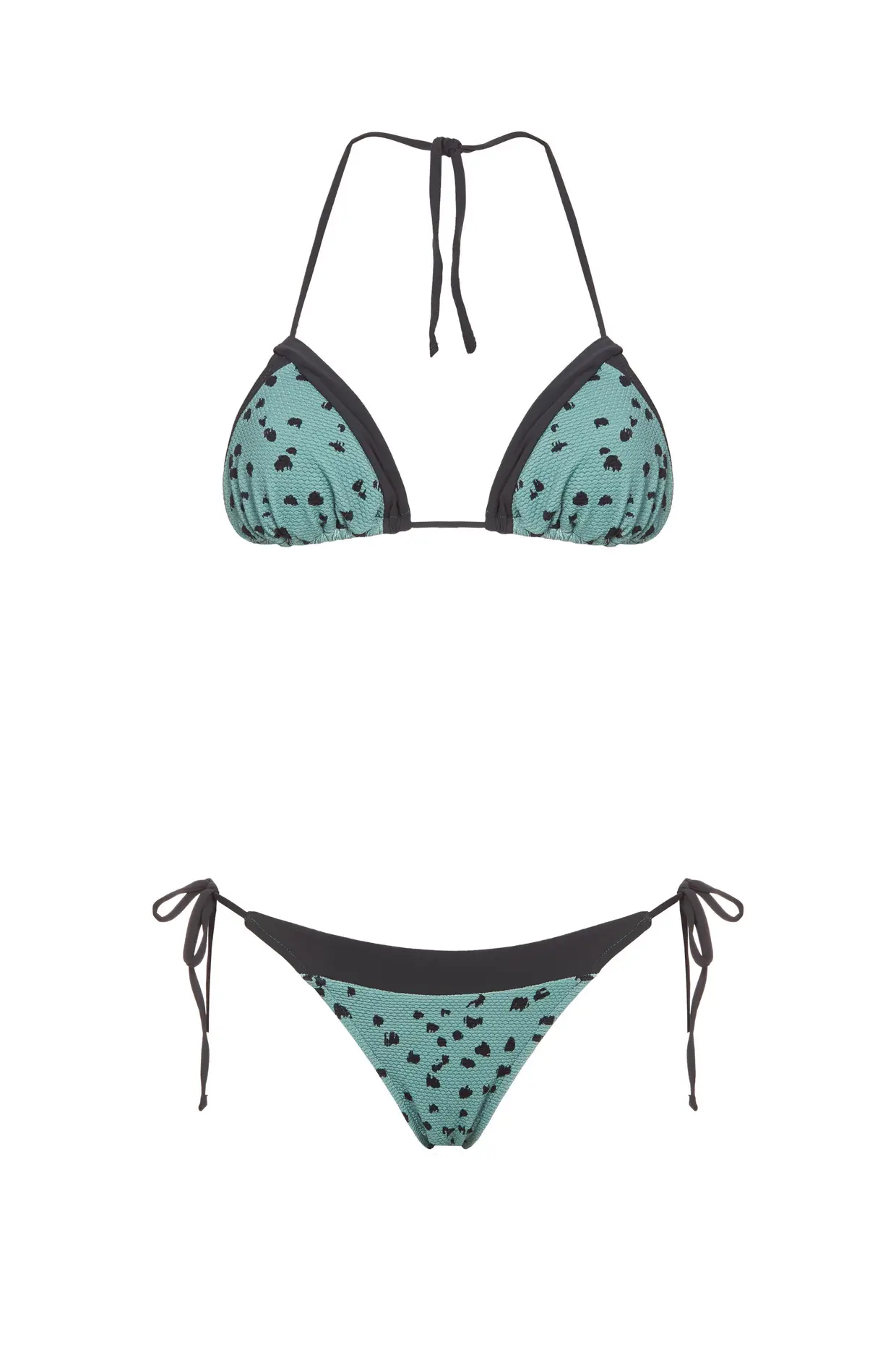 Verde e preto, da Latitid