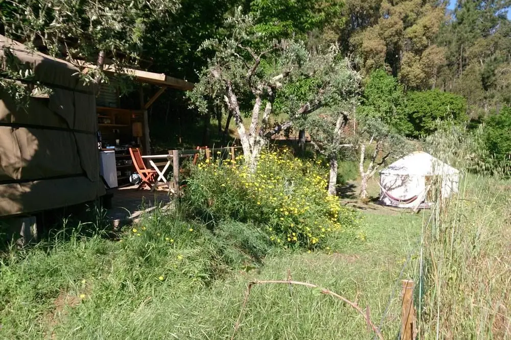 Portugal Yurt Retreat