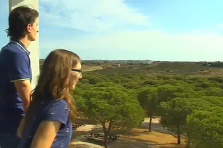 Mata da Conceição: Um segredo verde em Tavira