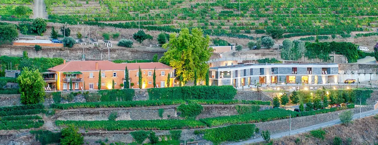 Douro: Viver a festa das vindimas nas margens do rio