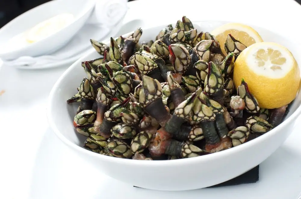 De Sines à Zambujeira há marisco para comer com os pés na areia