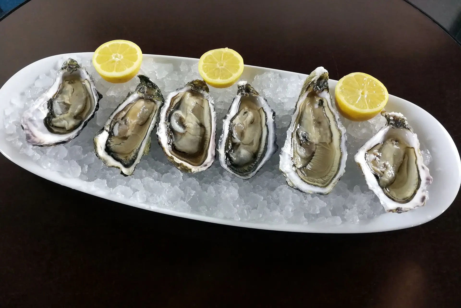 Monte Mar Lisboa: O Tejo, a esplanada, um bar de ostras e muito mais...