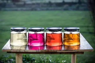 Conheça as tisanas de Gaia que estão a conquistar o mundo!