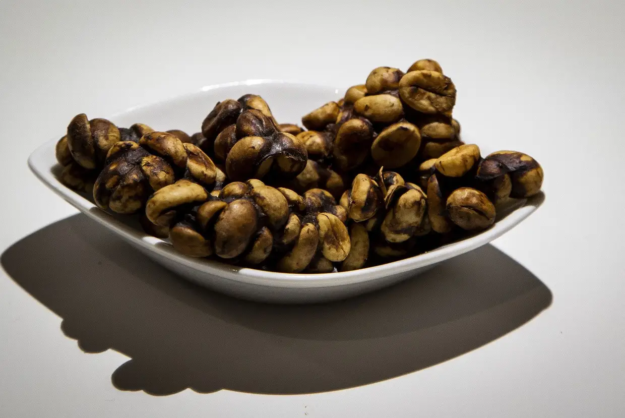 Café Civeta – Os grãos de café são extraídos das fezes da civeta, nas ilhas de Sumatra, Java, Bali, e Sulawesi, na Indonésia. A civeta seleciona os grãos antes de os comer, mas apenas digere a polpa. É o café mais caro do mundo.