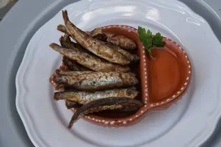 Taberna Laura: “Sabores do antigamente” na baixa de Coimbra