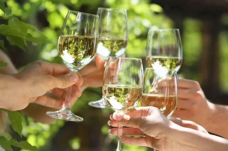 O berço da nação é também local de nascimento de interessantes vinhos verdes. Estes e muitos outros vão estar em prova este fim de semana na Guimarães Wine Fair.