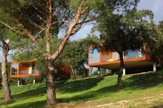 Boa Cama Boa Mesa na SIC Notícias: Entre Pegões e o Montijo
