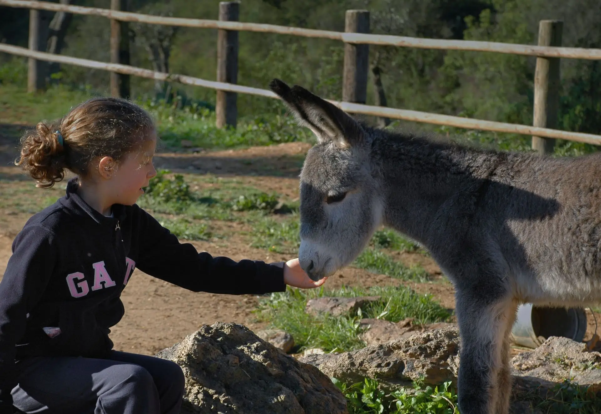 Quinta do Chocalhinho: O regresso a uma infância feliz