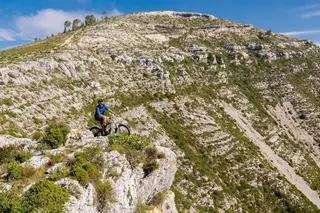 Passeio Verde: Descobrir o Parque Natural das Serras de Aire e Candeeiros