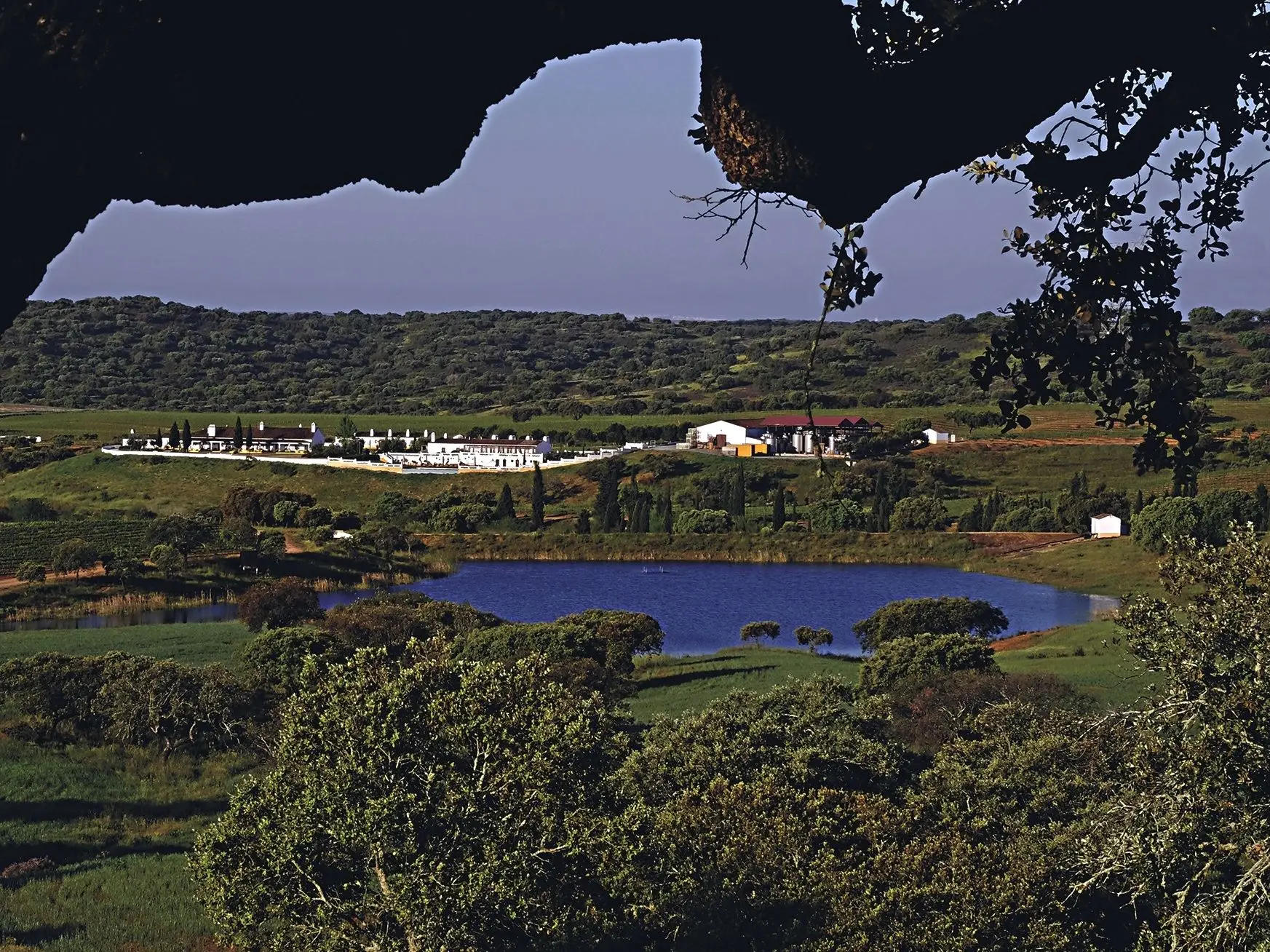 Herdade do Sobroso, ponto de encontro perfeito entre a vinha, a serra e o Alqueva