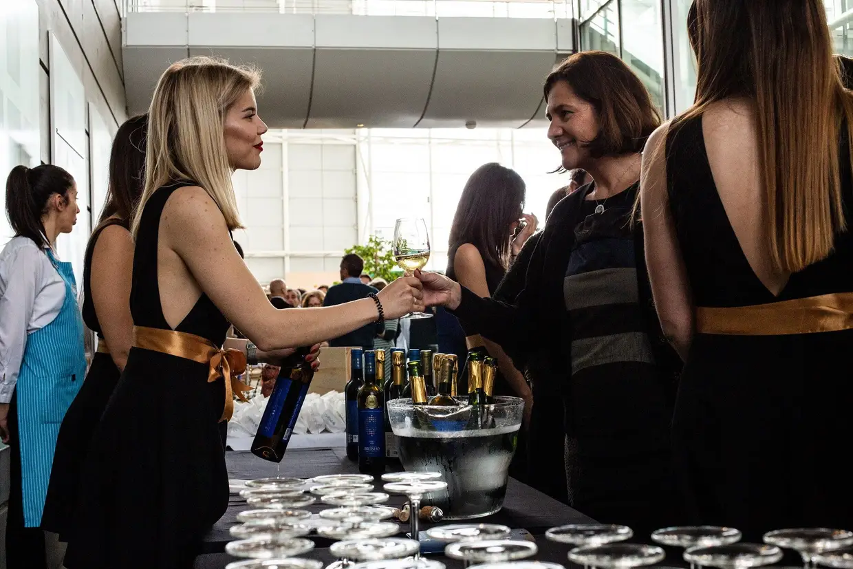 Vinhos em prova
