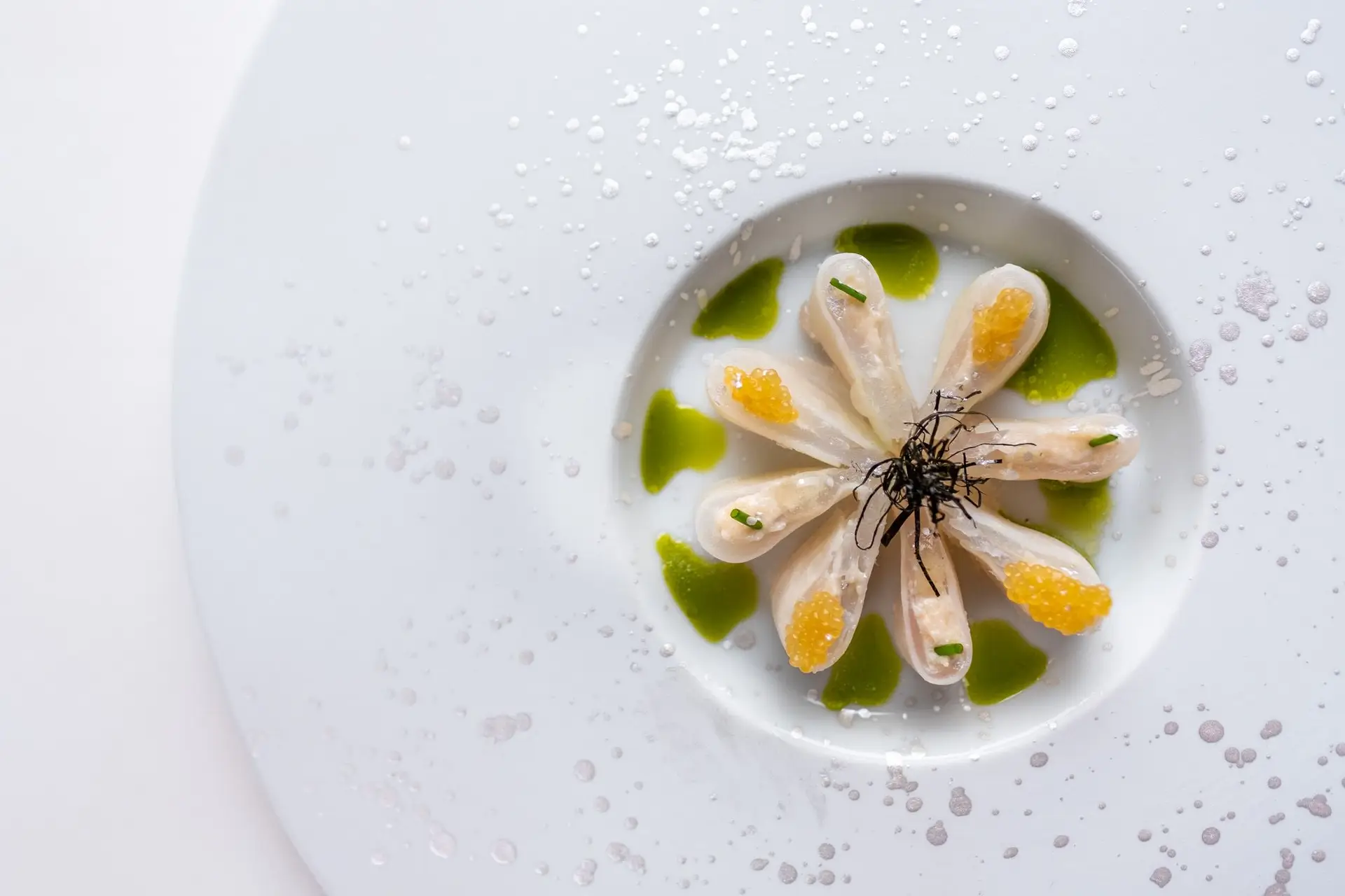 Stars, Food & Wine: constelação no Vistas e a ascenção de Rui Silvestre