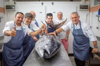 Festival quer transformar Porto Santo na "Capital Mundial do Atum"