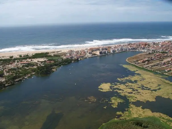 Passeio Verde: A Ria em estado puro no Passadiço de Aveiro