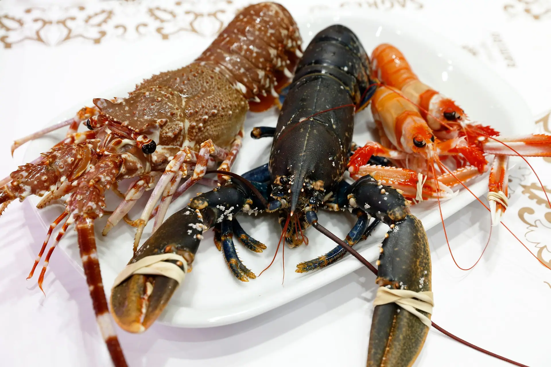 Acabaram-se as filas, agora o Ramiro entrega em casa!