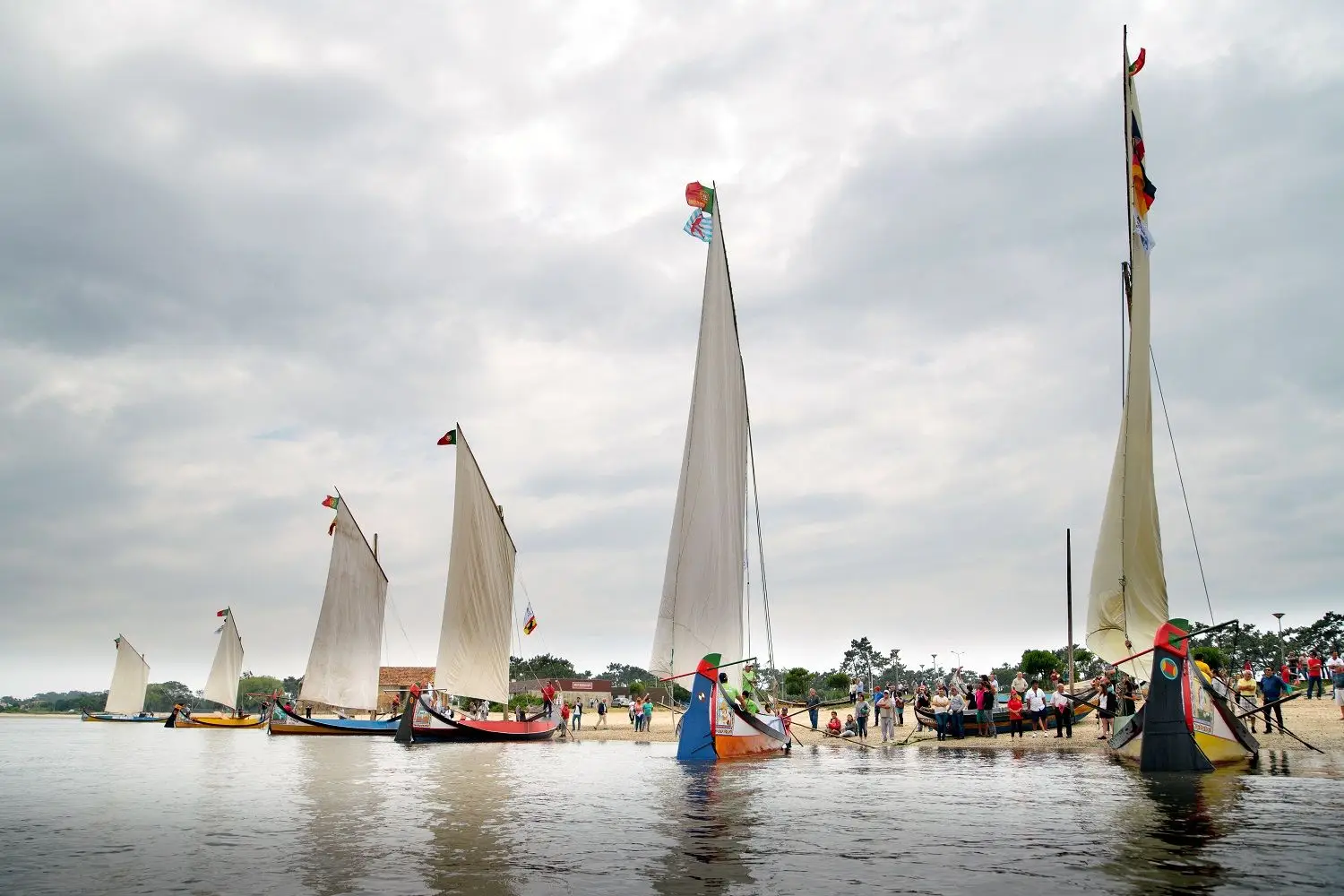 Passeio em família: 11 municípios em festa no Ria de Aveiro Weekend