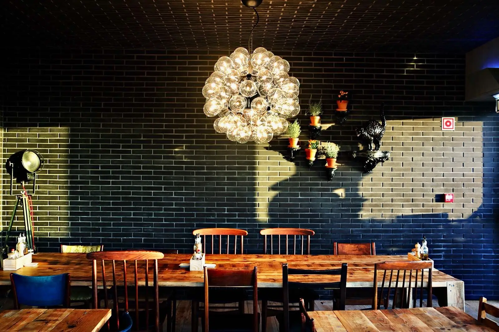 Novidades e clássicos: 12 restaurantes a não perder, em Aveiro