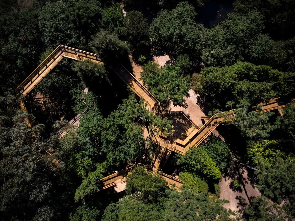 Passeio em Família: festejar o outono em Serralves