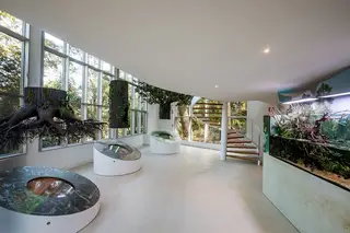 Passeio Verde: Centro de Interpretação da Natureza inaugurado na Serra de Sintra