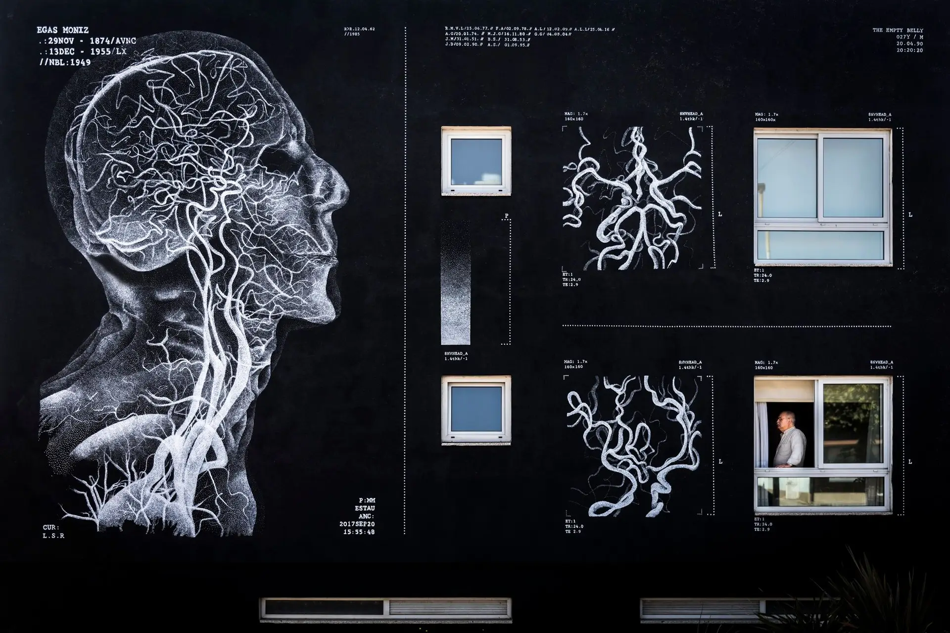 Arte urbana, os novos roteiros das cidades portuguesas em 10 etapas