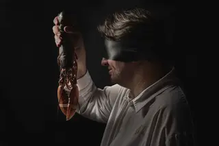 Blind: às cegas, com Vítor Matos, no novo restaurante do Torel Palace Porto