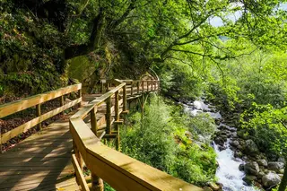 Passeio Verde: uma caminhada à descoberta dos Passadiços do Sistelo