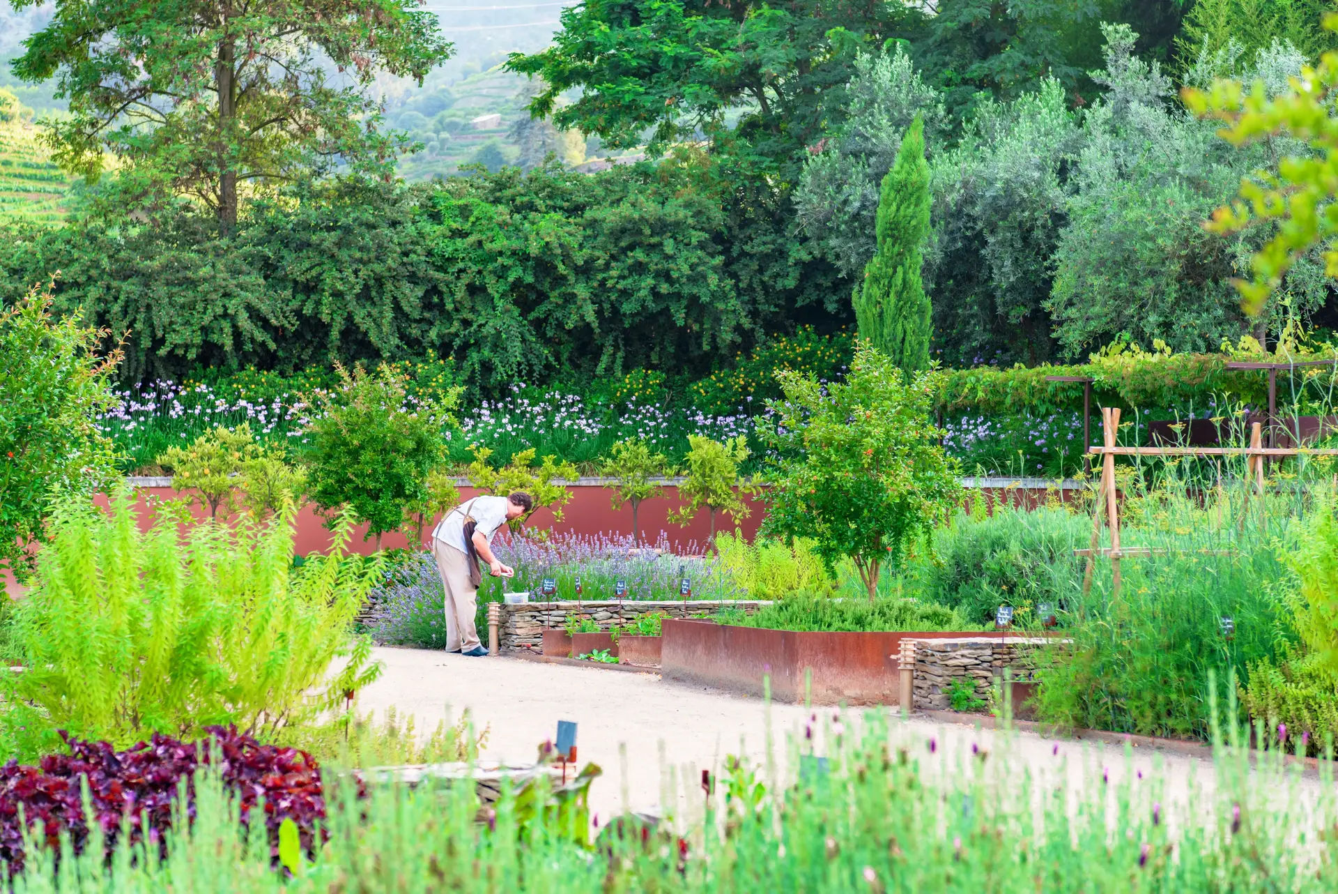 Douro: Passear no novo “jardim histórico de Portugal”, cenário de filme e paraíso de biodiversidade
