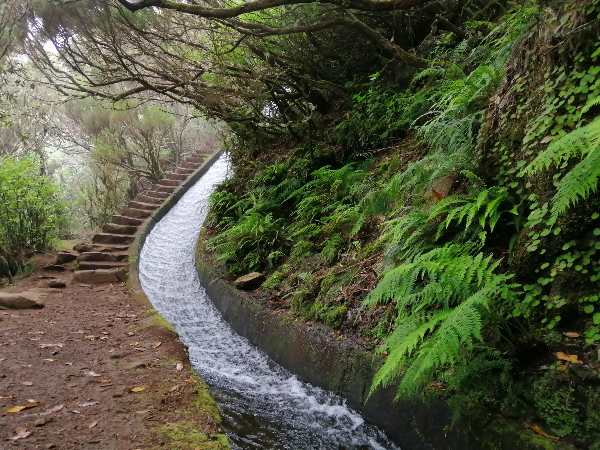Madeira ao natural: 11 sugestões para uma viagem de sonho