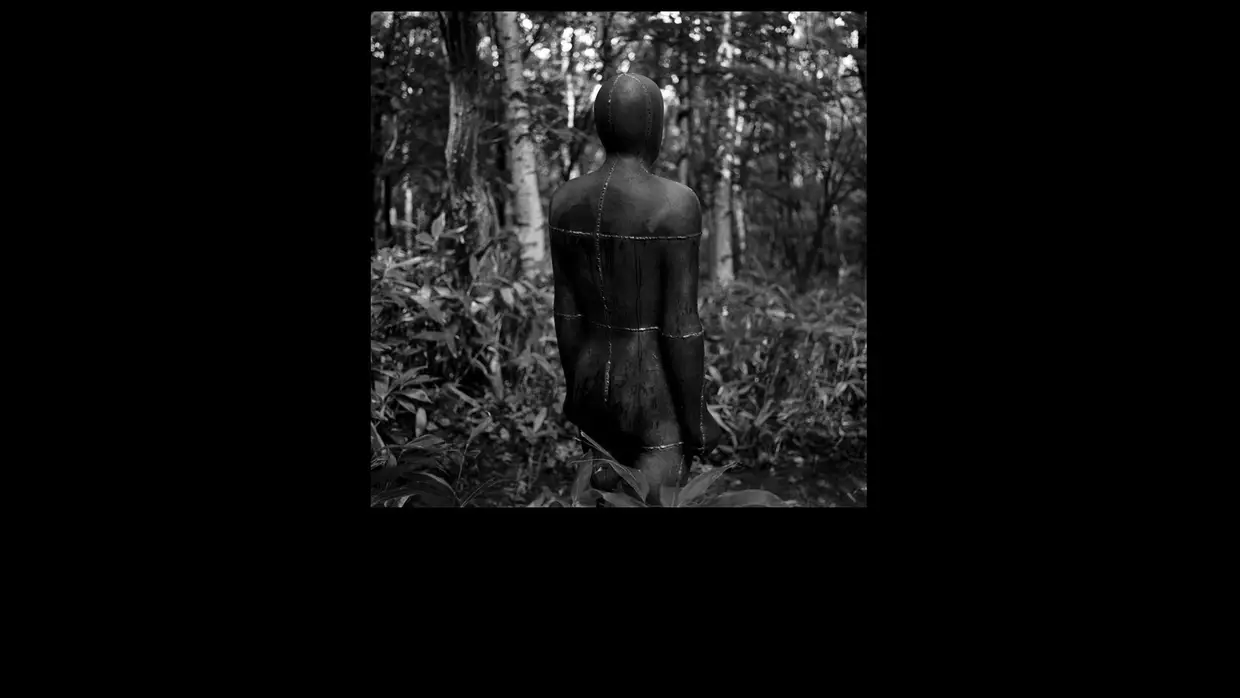 8. Norberto Lobo - Muxama