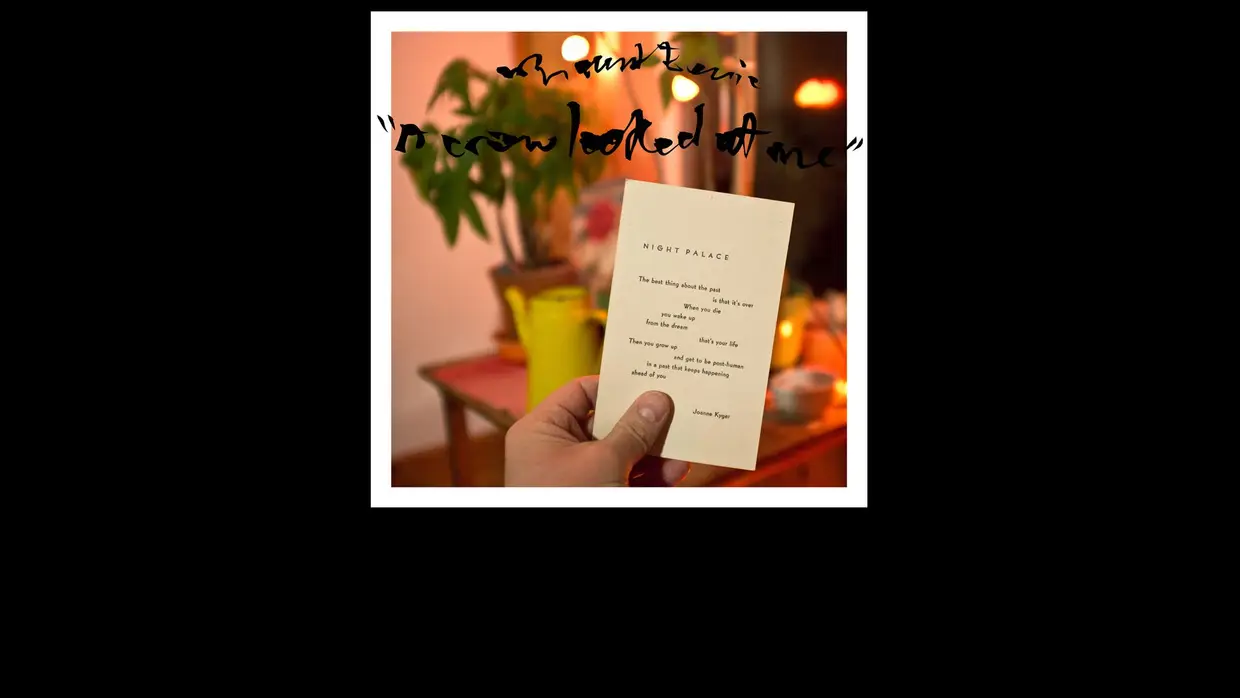 33. Mount Eerie - A Crow Looked At Me