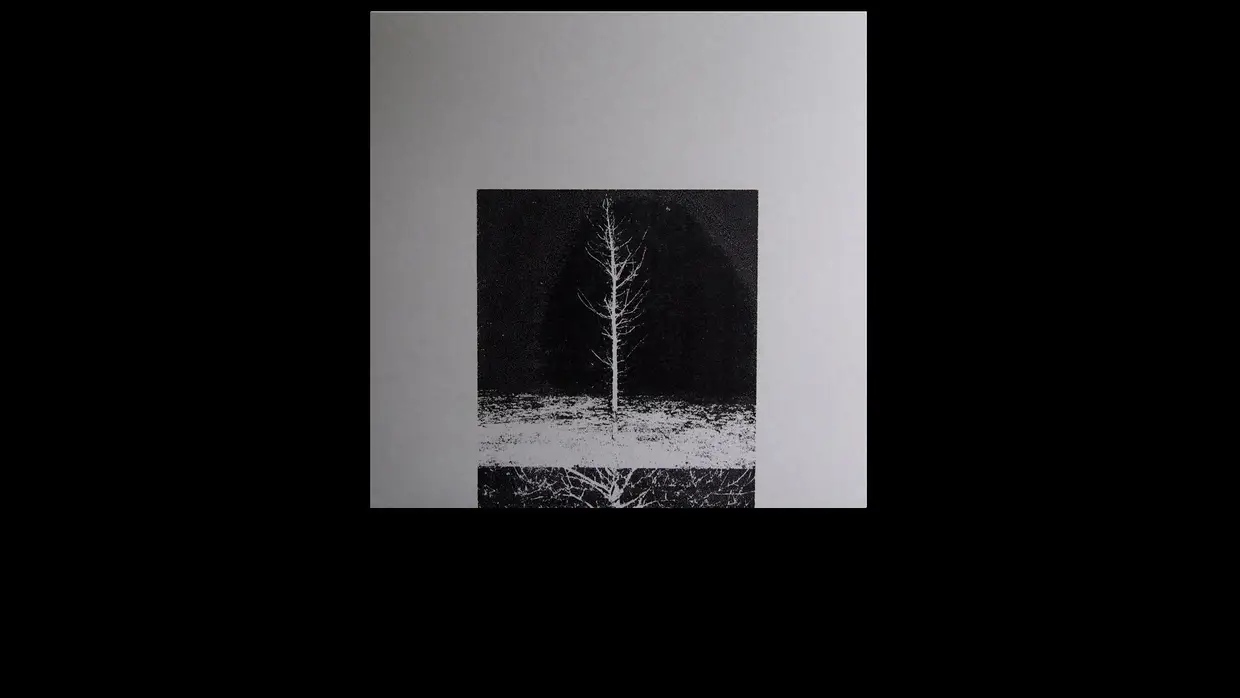 32. Francisco Oliveira - "On the Act of Reminding"