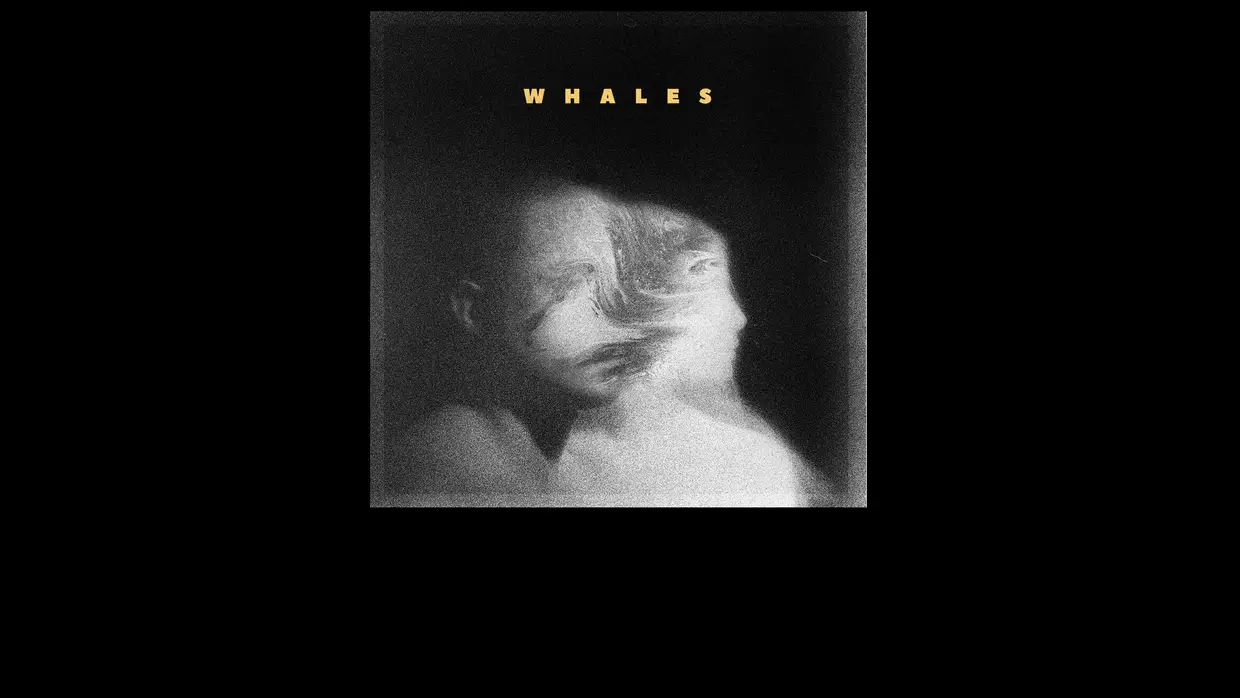39. Whales - "Whales"