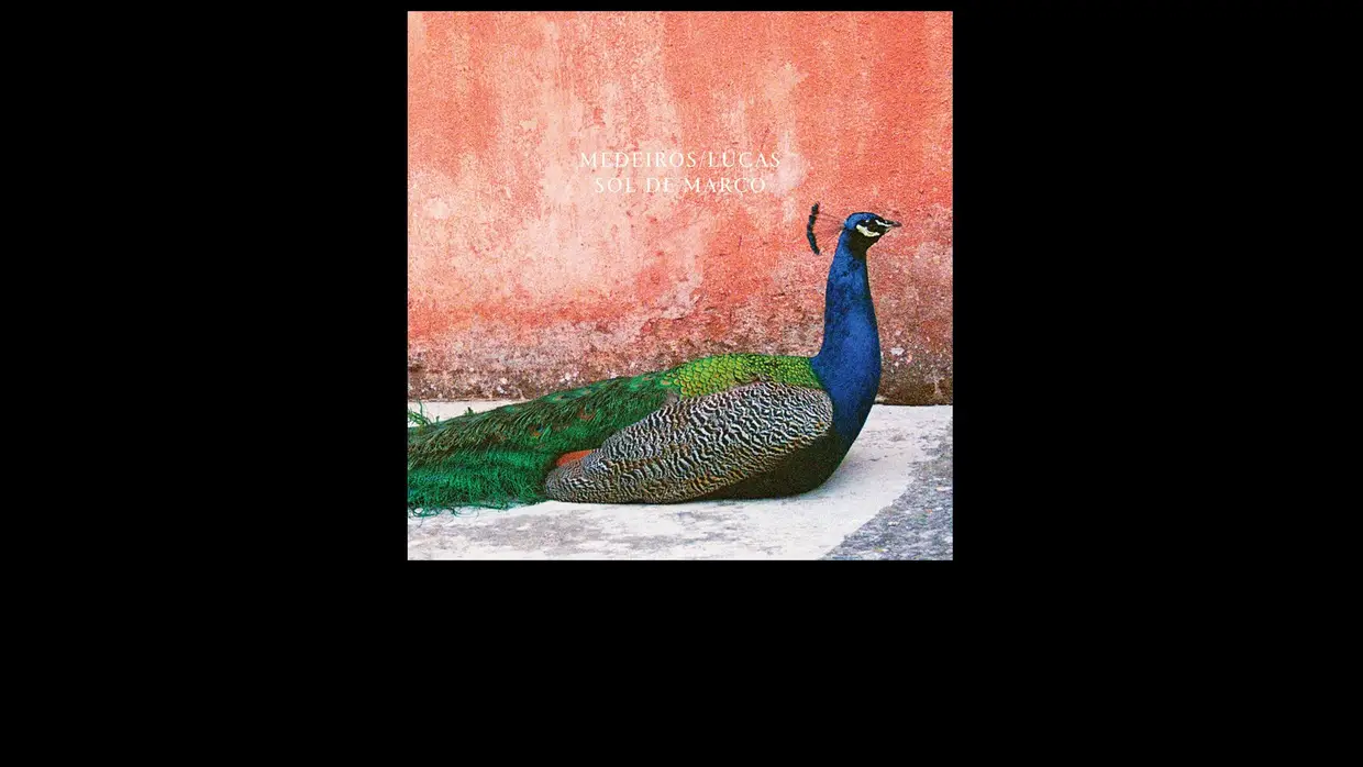 40. Medeiros/Lucas - "Sol de Março"