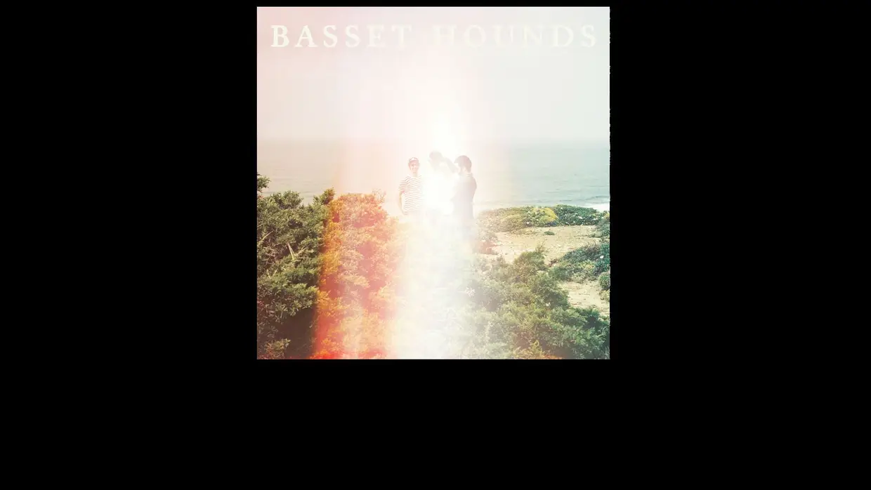 17. Basset Hounds - "II"