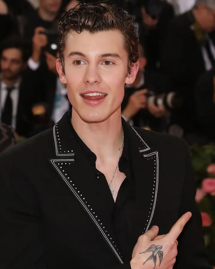 Shawn Mendes na Met Gala 2019