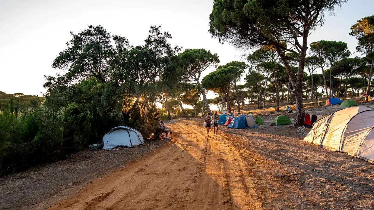 Super Bock Super Rock 2019