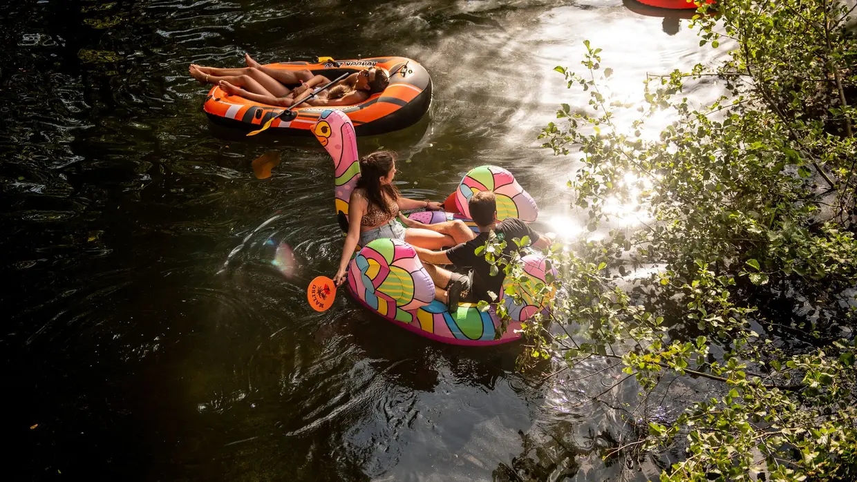 Paredes de Coura 2019