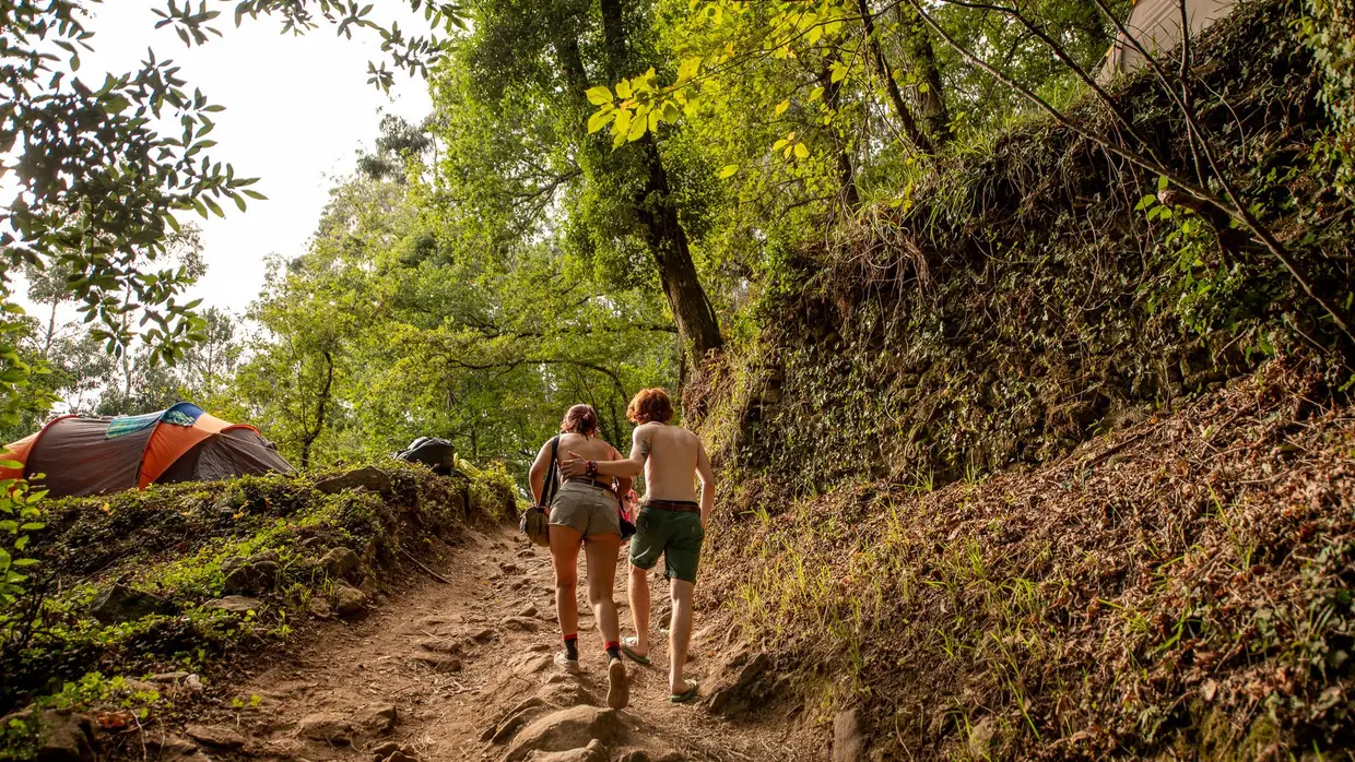 Paredes de Coura 2019