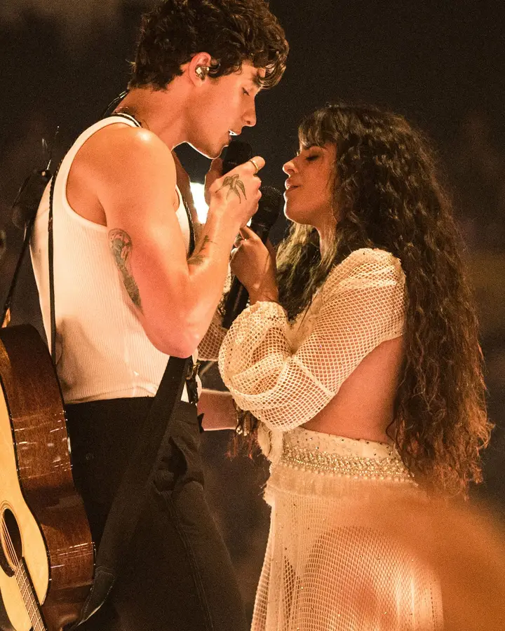 O dueto romântico de Shawn Mendes e Camila Cabello em 'Señorita'