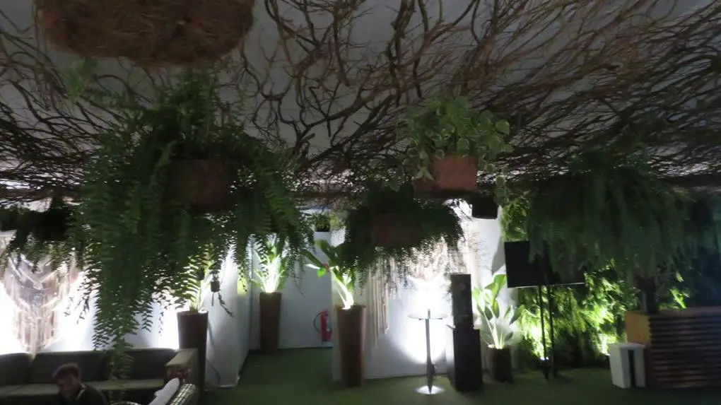 Ingrid Berger, produtora de backstage do festival, diz que as plantas tornam o ambiente mais fresco