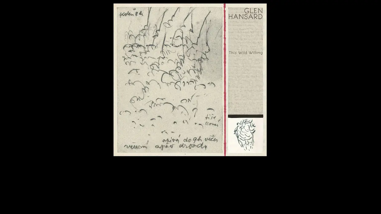39. Glen Hansard - The Wild Willing