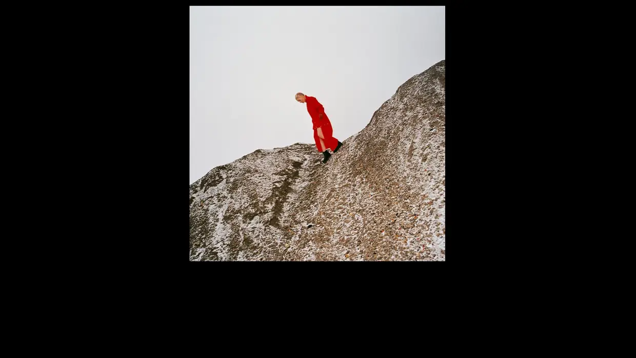 35. Cate Le Bon - Reward
