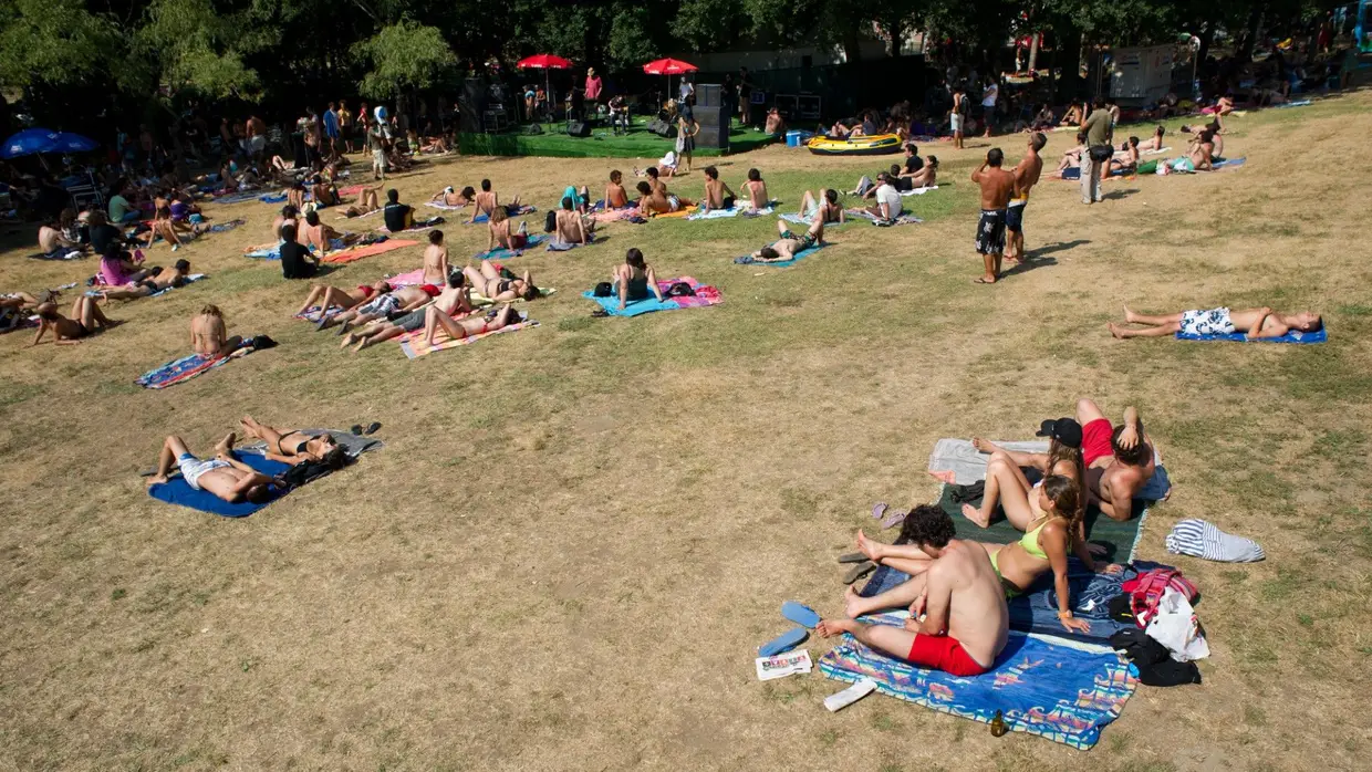 Paredes de Coura 2010