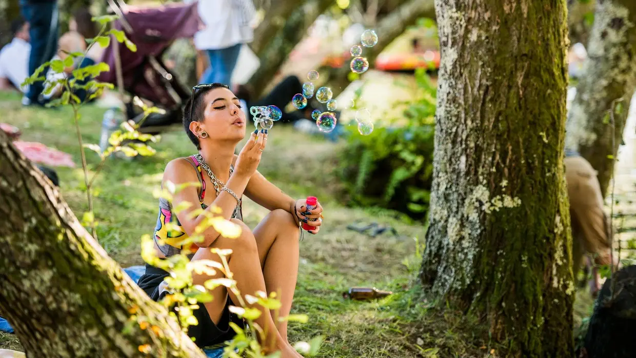 Paredes de Coura 2017