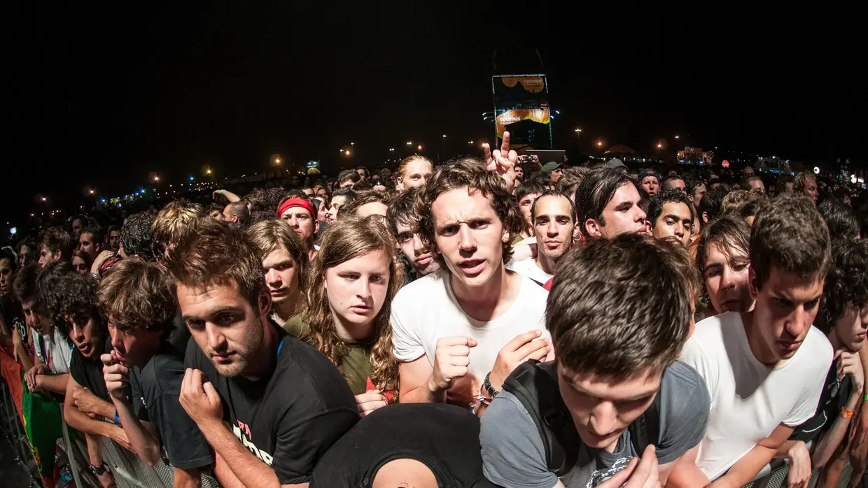 Alive 2008
