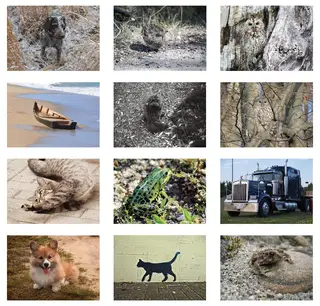 O CIFAR10 e o CIFAR 100 distinguem os desempenhos de algoritmos no que toca aos reconhecimento de animais, objetos ou ações
