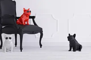 Em teste: Jarre Aerobull XS1
