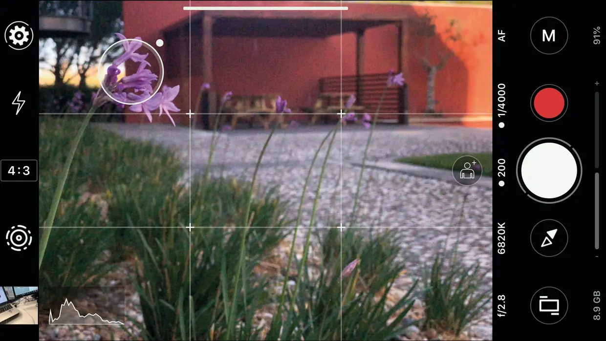 Antes de fotografar, indique sempre e com precisão o ponto de focagem clicando no ecrã do smartphone. Repare como o ProShot foca a flor, desfocando o fundo e criando a sensação de maior profundidade de campo. Muitas vezes a app e o smartphone não sabem o que focar. Dê uma ajuda.