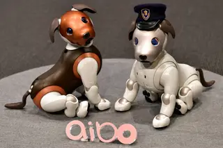 Sony introduz sistema de reconhecimento facial no Aibo, o cão robótico doméstico
